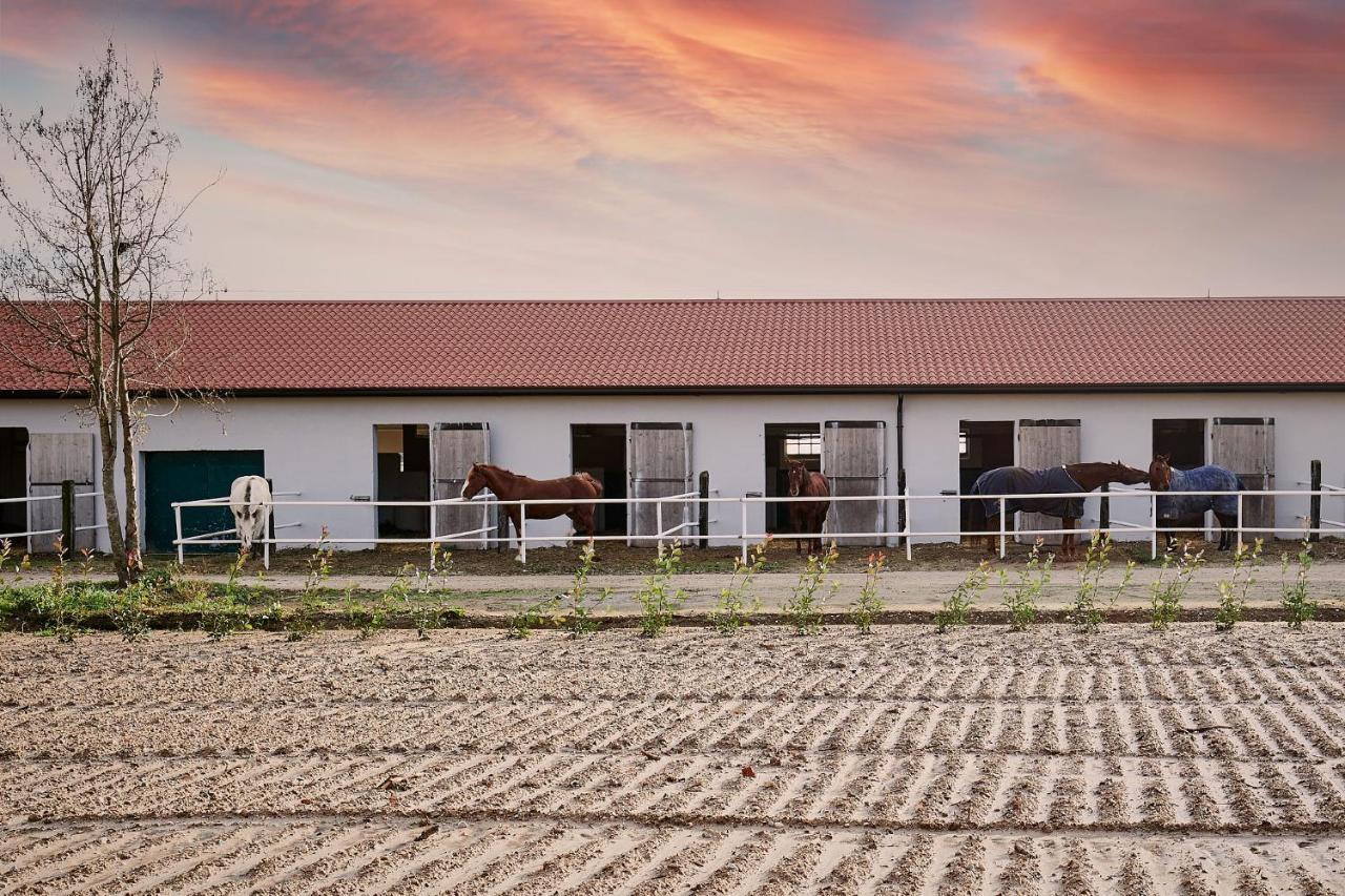 Brussa Horse Oasi Villa Caorle Exterior photo