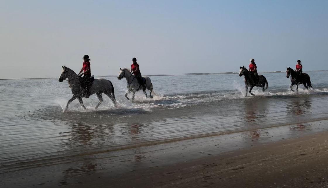 Brussa Horse Oasi Villa Caorle Exterior photo