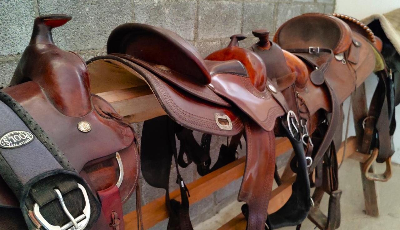 Brussa Horse Oasi Villa Caorle Exterior photo